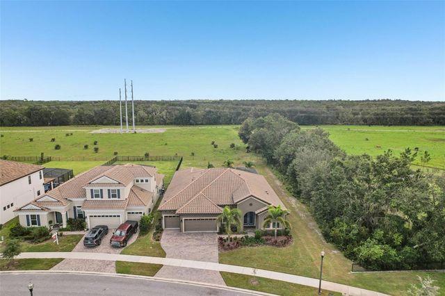 14235 SWISS BRIDGE DRIVE, Riverview, FL 33579