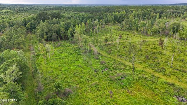 000 Bush Road, Graceville, FL 32440