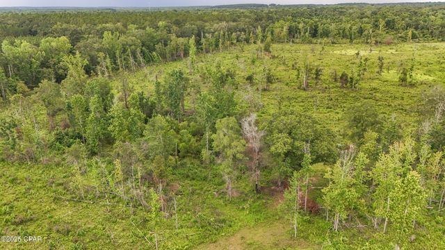 000 Bush Road, Graceville, FL 32440