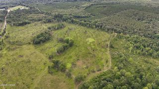 000 Bush Road, Graceville, FL 32440