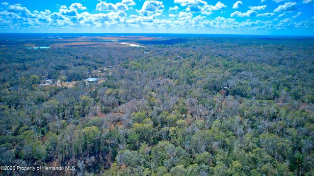 16345 Budowski Road, Brooksville, FL 34614