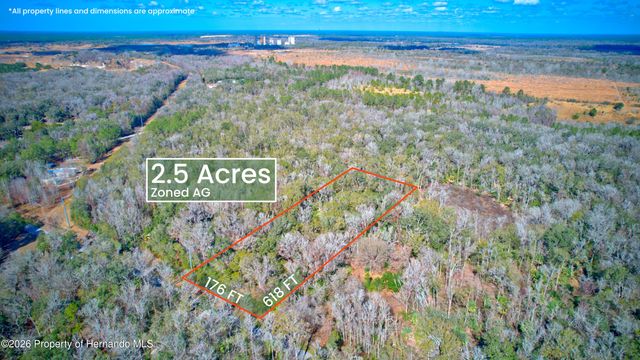 16345 Budowski Road, Brooksville, FL 34614