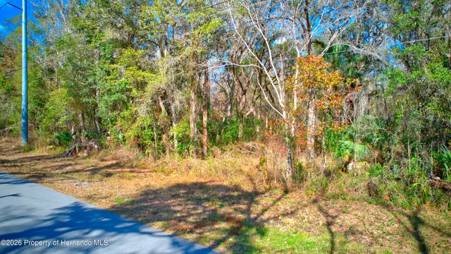 16345 Budowski Road, Brooksville, FL 34614