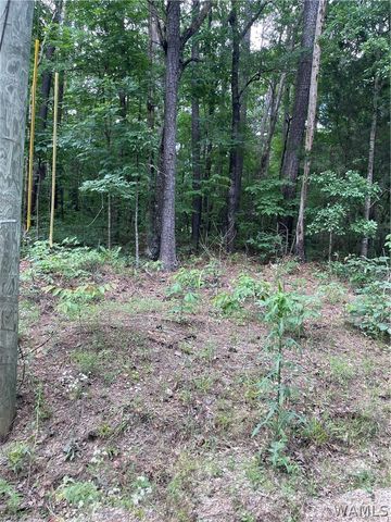0 Muriel, Vance, AL 35490