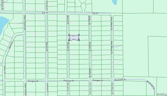 0 Muriel, Vance, AL 35490
