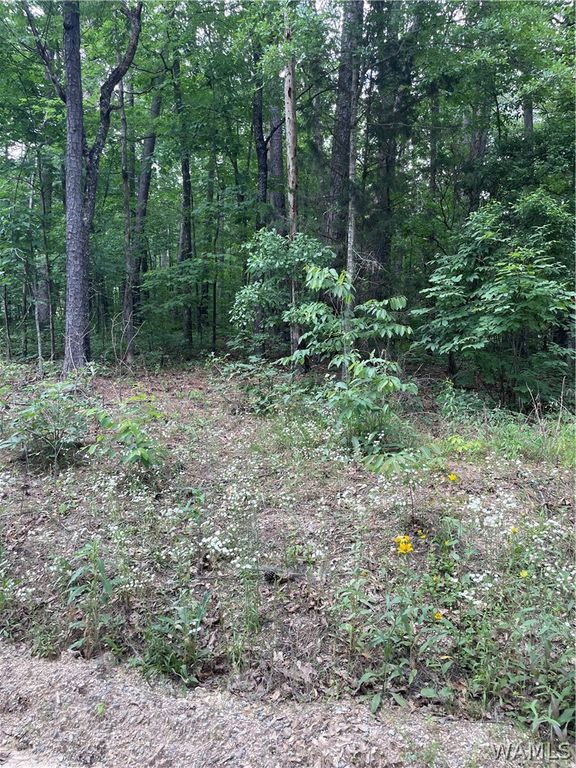 0 Muriel, Vance, AL 35490