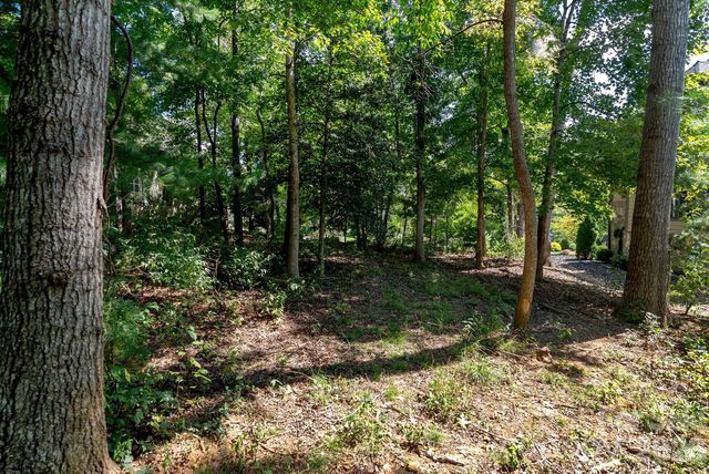 16 Mountain Orchid Way CWC-CP-085, Arden, NC 28704