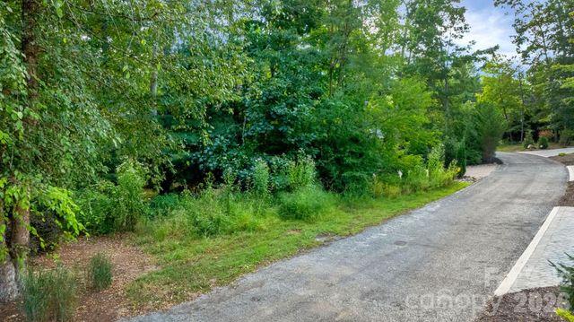 16 Mountain Orchid Way CWC-CP-085, Arden, NC 28704