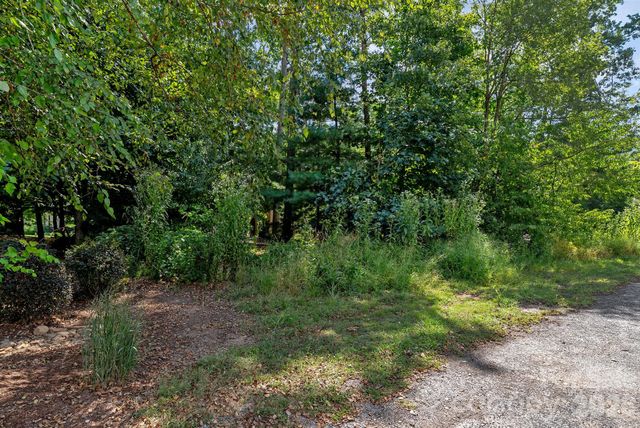 16 Mountain Orchid Way CWC-CP-085, Arden, NC 28704