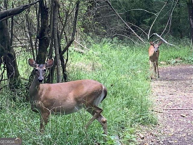 10330 Groomsbridge Road, Johns Creek, GA 30022