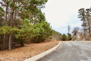 Lot 144 Shiloh Springs, Rutledge, TN 37861