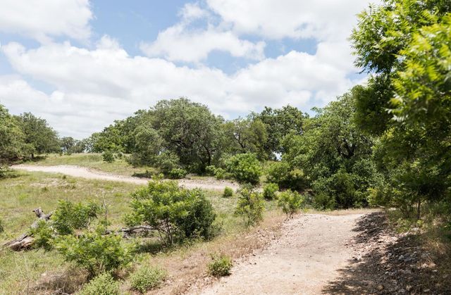 501 Jacaranda CT, Liberty Hill, TX 78642