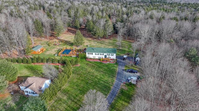 226 Big Woods Road, Harris, NY 12742