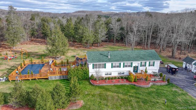 226 Big Woods Road, Harris, NY 12742