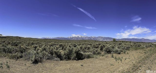 TBD Bray Way, Gardnerville, NV 89410