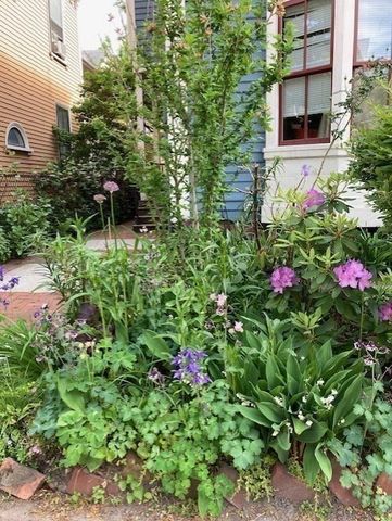 26 Mt. Auburn St. 26-1, Cambridge, MA 02138