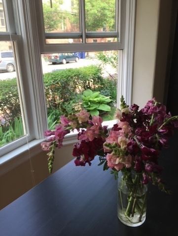 26 Mt. Auburn St. 26-1, Cambridge, MA 02138