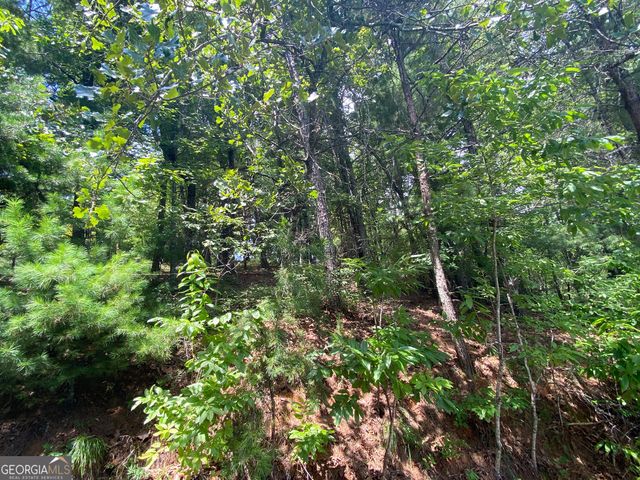 LOT 29 Lake Rabun Bluffs Drive, Lakemont, GA 30552