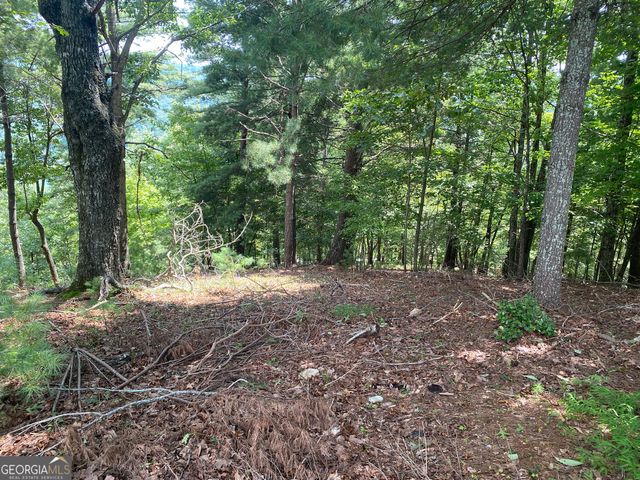 LOT 29 Lake Rabun Bluffs Drive, Lakemont, GA 30552