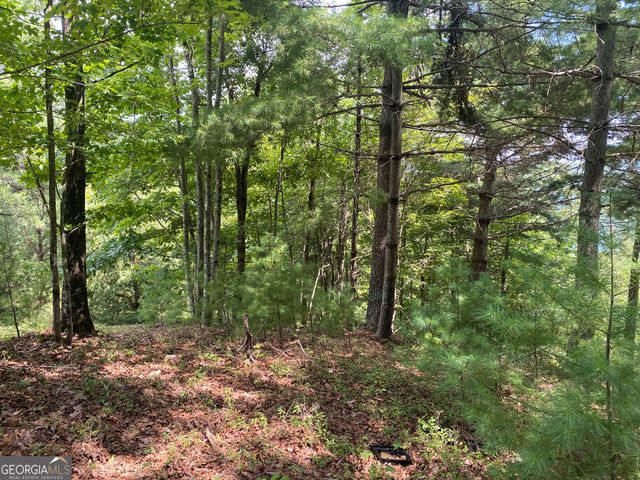 LOT 29 Lake Rabun Bluffs Drive, Lakemont, GA 30552