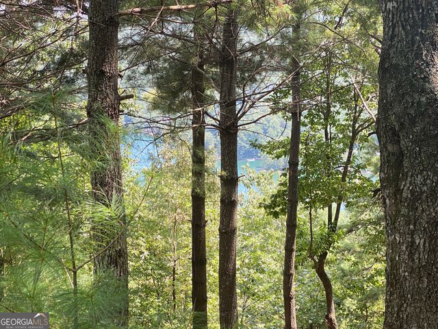 LOT 29 Lake Rabun Bluffs Drive, Lakemont, GA 30552