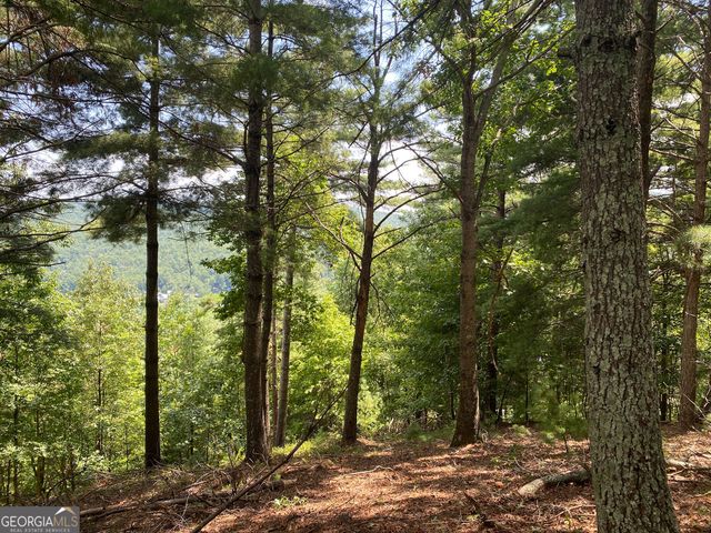 LOT 29 Lake Rabun Bluffs Drive, Lakemont, GA 30552