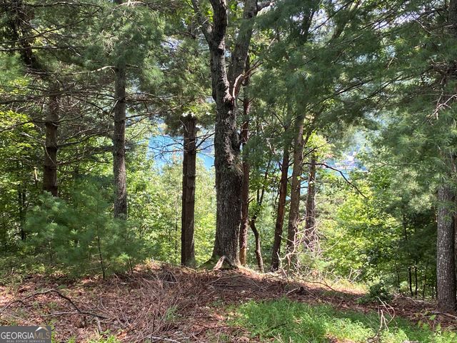 LOT 29 Lake Rabun Bluffs Drive, Lakemont, GA 30552