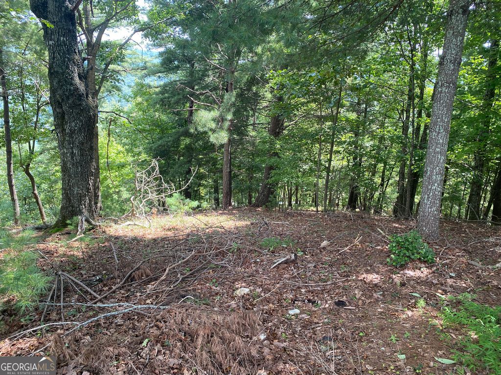 LOT 29 Lake Rabun Bluffs Drive, Lakemont, GA 30552 — photo 3