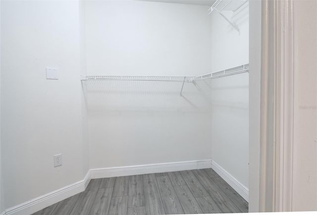 10536 SALISBURY STREET, Riverview, FL 33569
