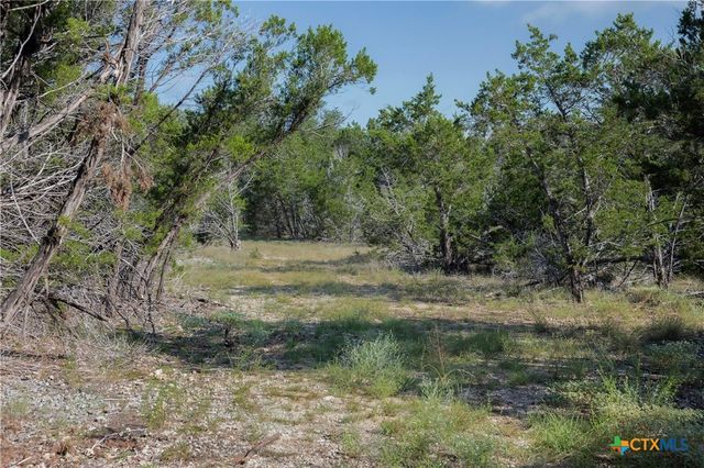 Tract 4 Mount Olive School Road, Wimberley, TX 78676