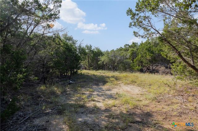 Tract 4 Mount Olive School Road, Wimberley, TX 78676