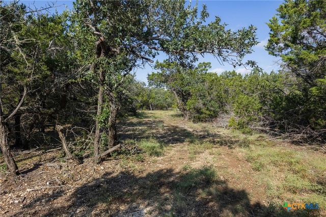 Tract 4 Mount Olive School Road, Wimberley, TX 78676