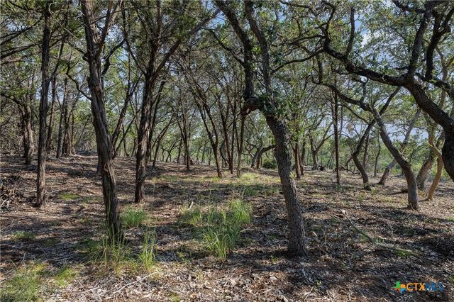 Tract 4 Mount Olive School Road, Wimberley, TX 78676