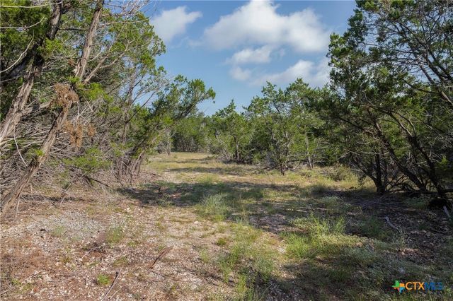 Tract 4 Mount Olive School Road, Wimberley, TX 78676
