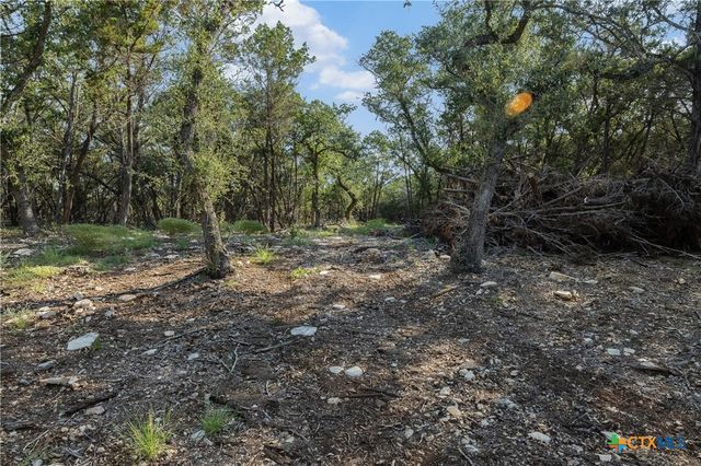 Tract 4 Mount Olive School Road, Wimberley, TX 78676