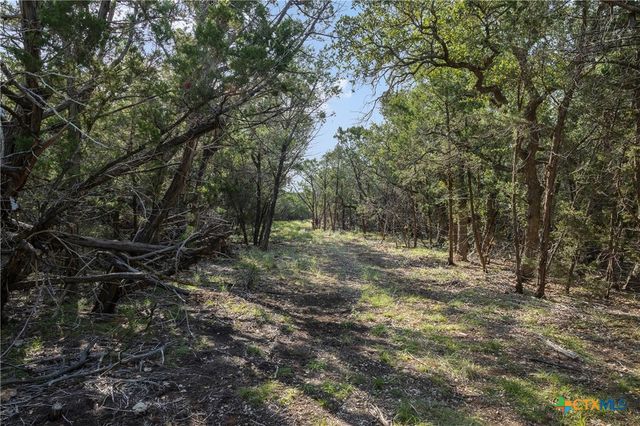 Tract 4 Mount Olive School Road, Wimberley, TX 78676