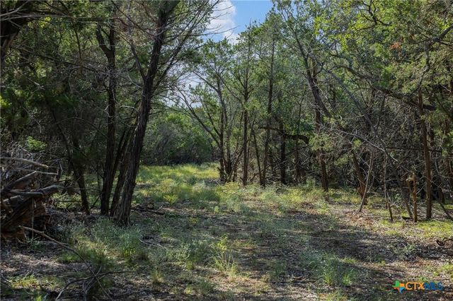 Tract 4 Mount Olive School Road, Wimberley, TX 78676