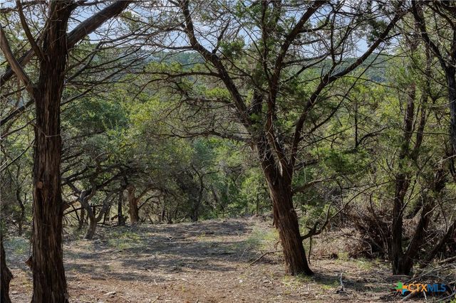 Tract 4 Mount Olive School Road, Wimberley, TX 78676
