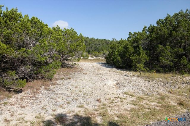 Tract 4 Mount Olive School Road, Wimberley, TX 78676
