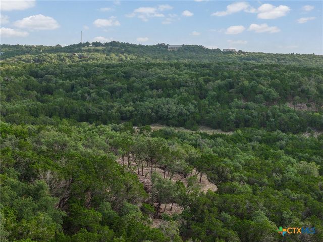 Tract 4 Mount Olive School Road, Wimberley, TX 78676