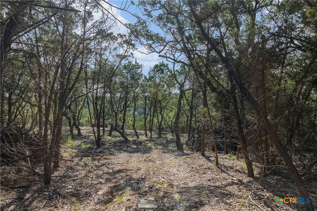 Tract 4 Mount Olive School Road, Wimberley, TX 78676