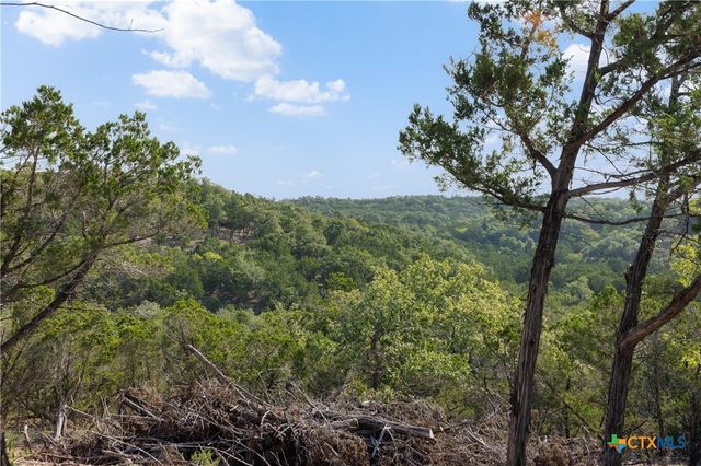 Tract 4 Mount Olive School Road, Wimberley, TX 78676