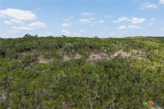 Tract 4 Mount Olive School Road, Wimberley, TX 78676