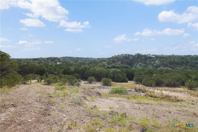 Tract 4 Mount Olive School Road, Wimberley, TX 78676