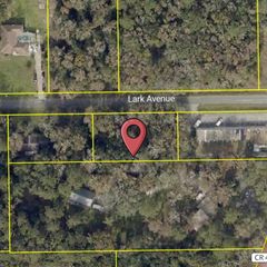 LARK AVENUE, Brooksville, FL 34601