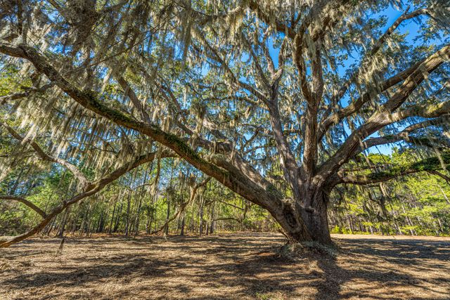 4129 Gnarled Oaks Lane, Johns Island, SC 29455