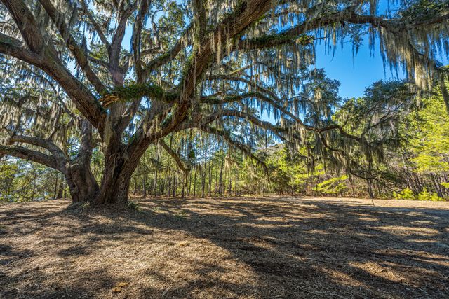 4129 Gnarled Oaks Lane, Johns Island, SC 29455