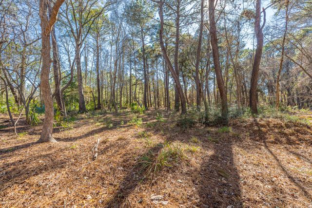 4129 Gnarled Oaks Lane, Johns Island, SC 29455