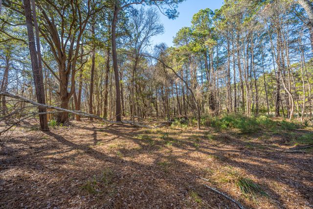 4129 Gnarled Oaks Lane, Johns Island, SC 29455