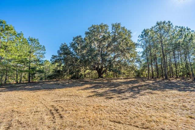 4129 Gnarled Oaks Lane, Johns Island, SC 29455